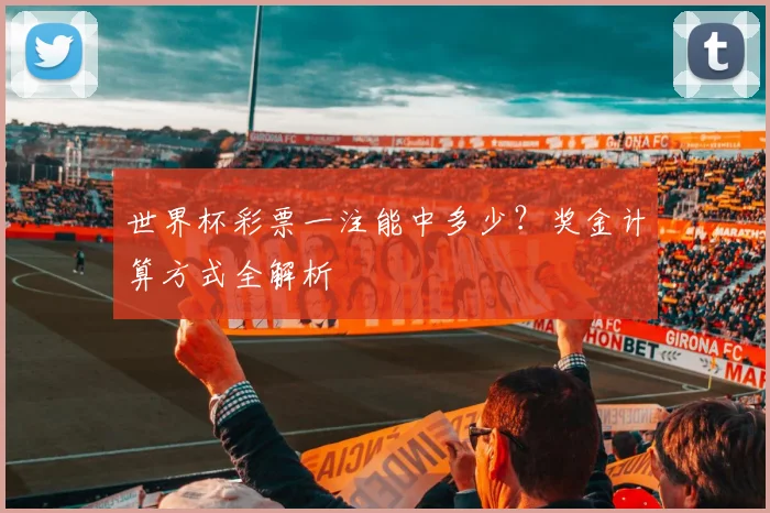世界杯彩票一注能中多少?奖金计算方式全解析