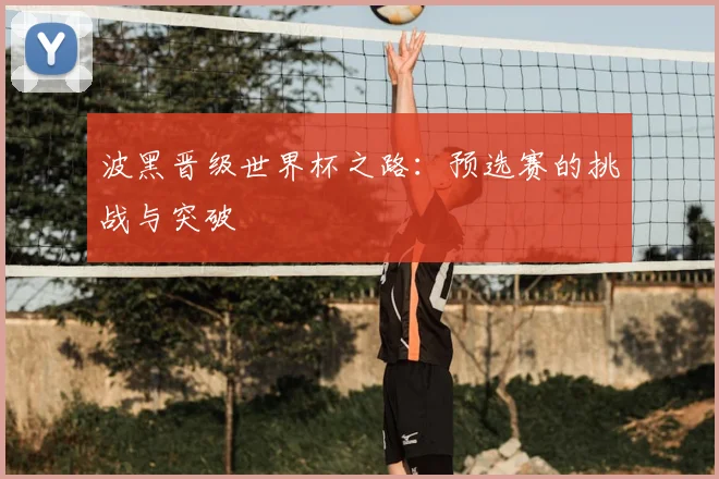 波黑晋级世界杯之路：预选赛的挑战与突破