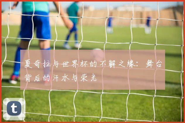 夏奇拉与世界杯的不解之缘：舞台背后的汗水与荣光